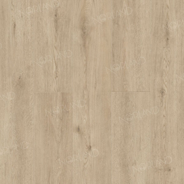 1003_01_panno