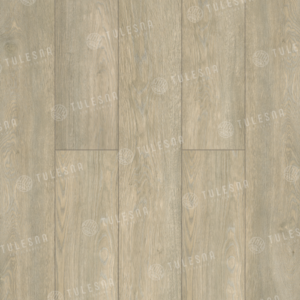 1004-08_panno