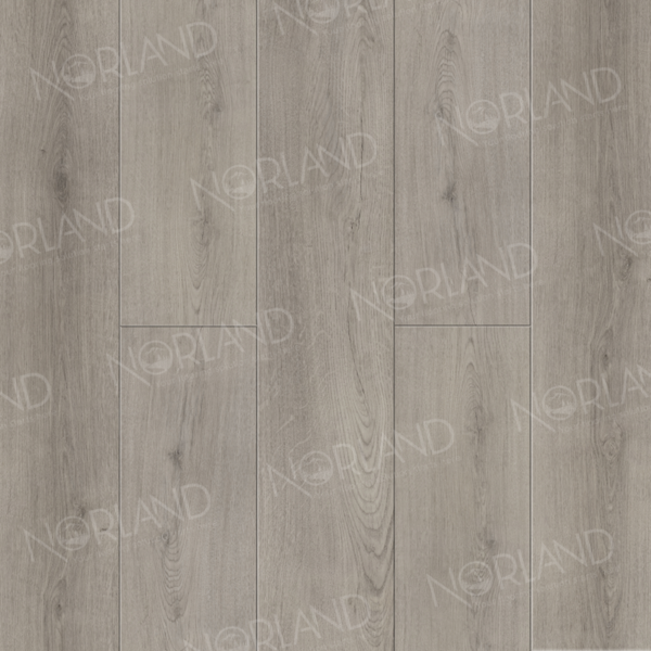 1006-5_panno