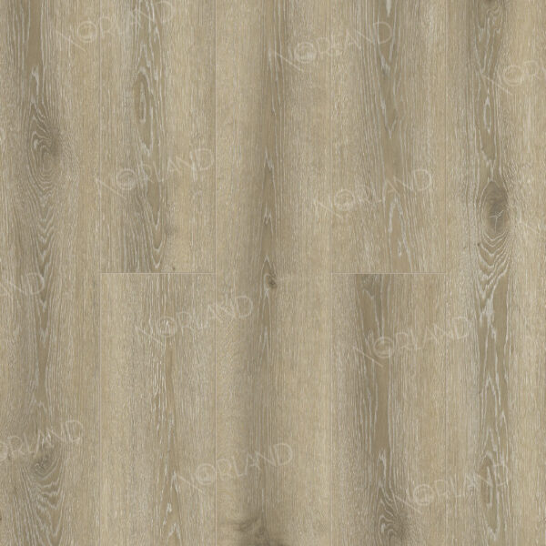 1022_03_panno