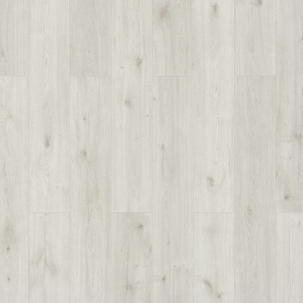 56172-56188_xl_1