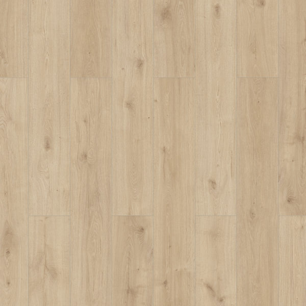 56178-56194_xl_1
