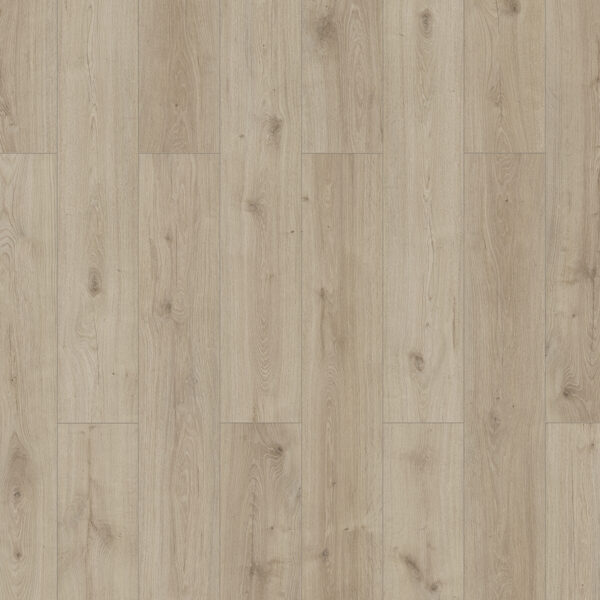 56179-56195_xl_1