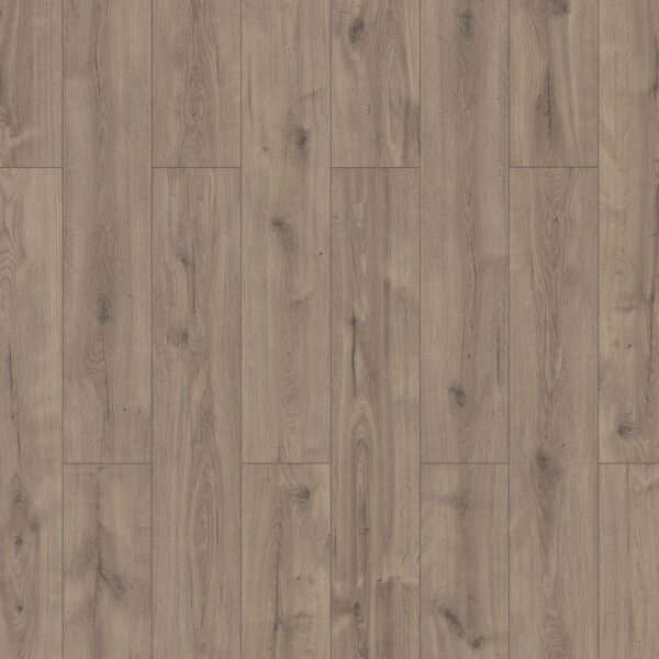 56180-56196_xl_1