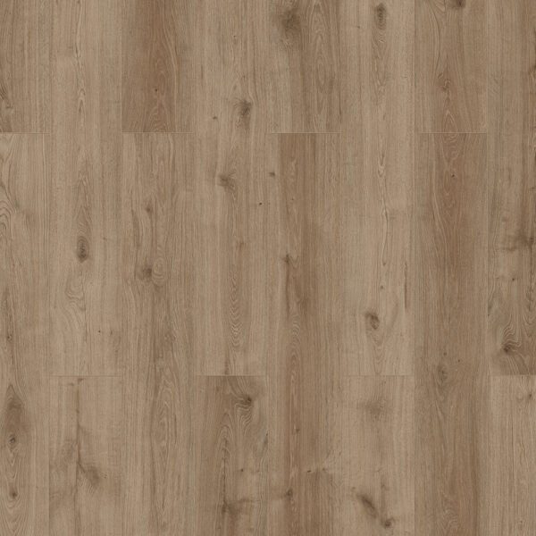 56183-56199_xl_1