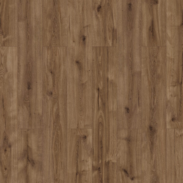 56184-56200_xl_2