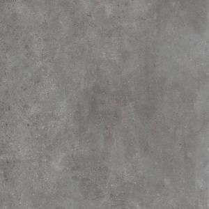 lr204_1
