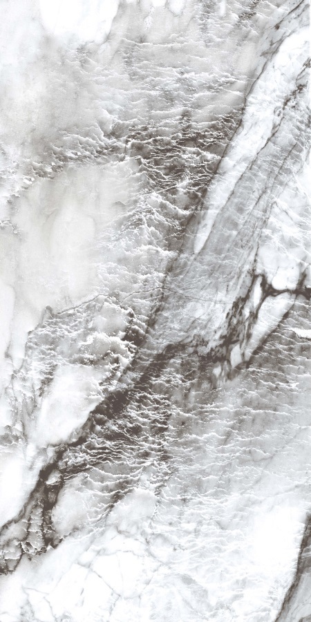 pr221_4