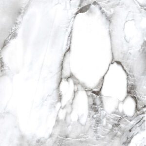 pr221_5